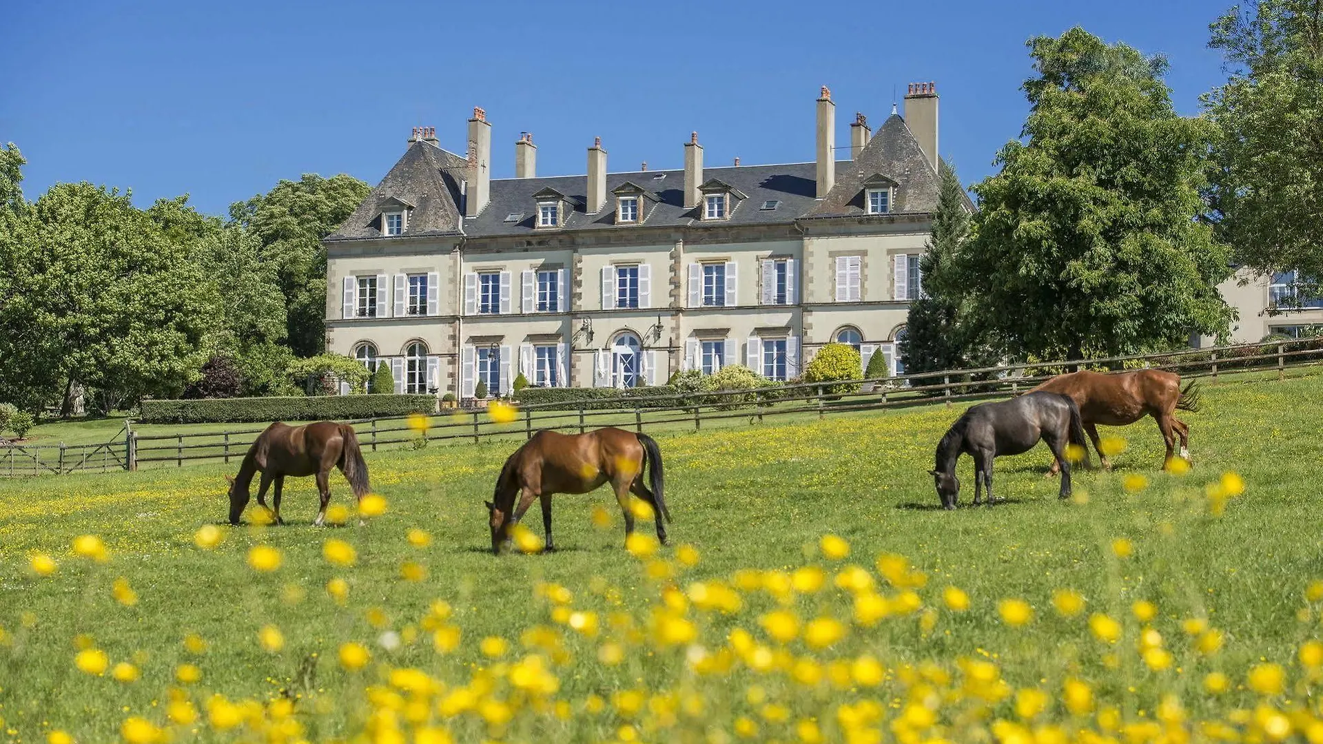 Hotel Chateau D'Ygrande - Teritoria